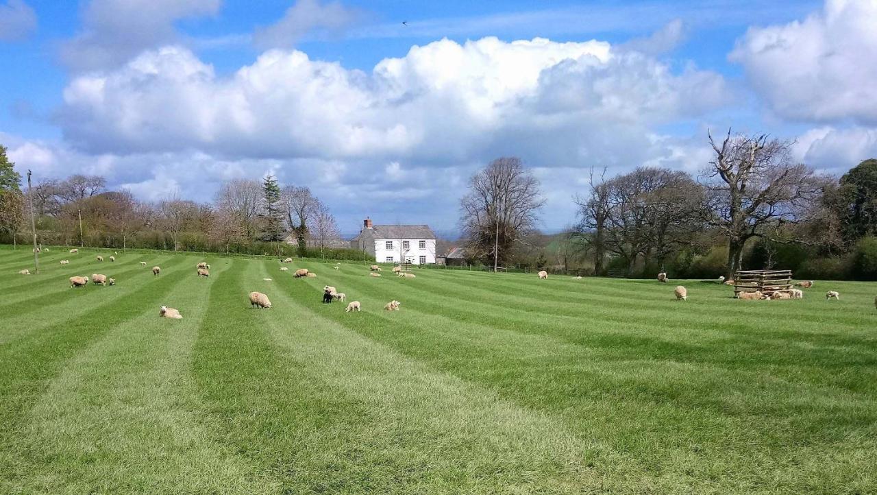Lovaton Farmhouse Okehampton Exteriör bild