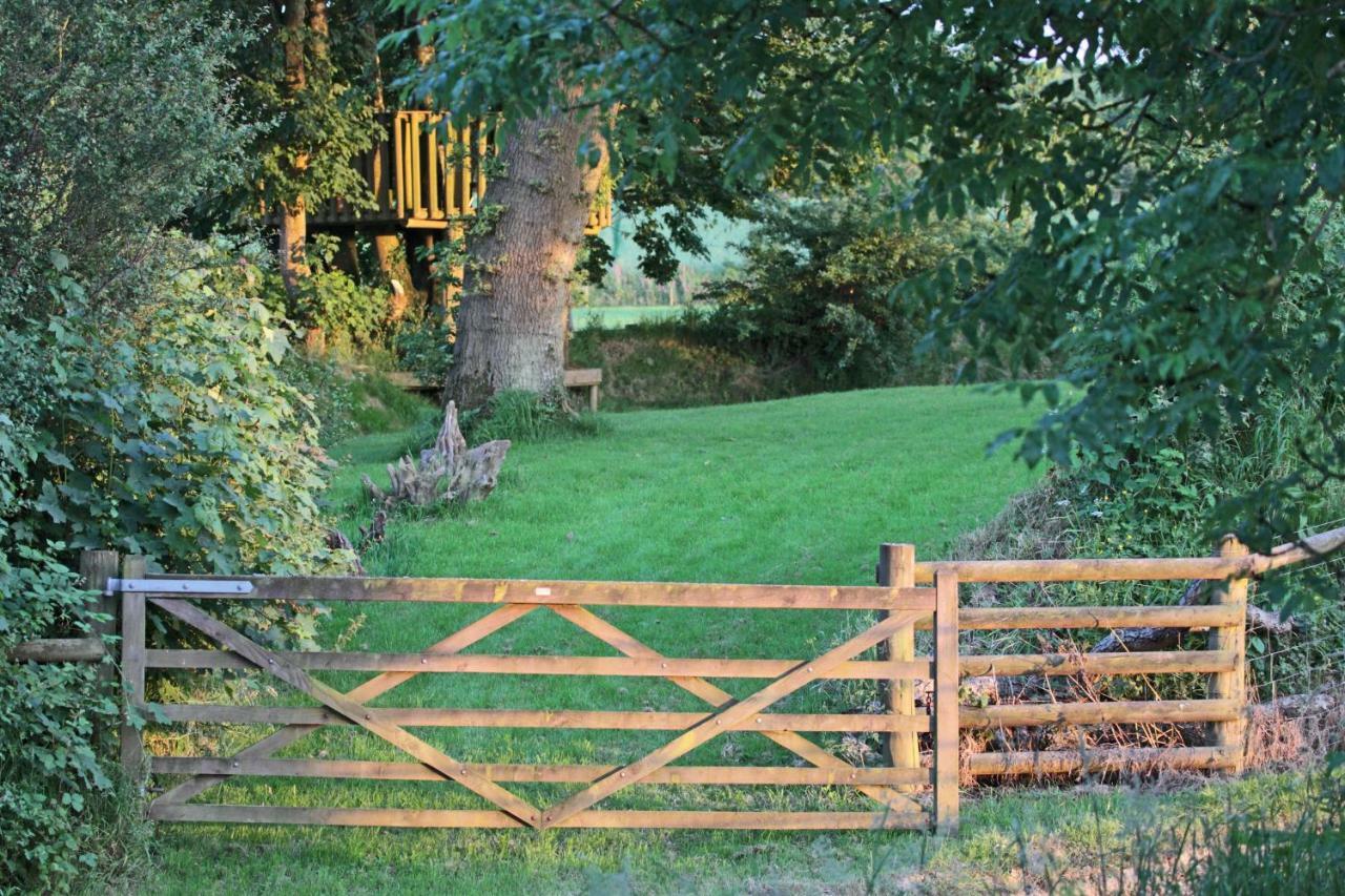 Lovaton Farmhouse Okehampton Exteriör bild