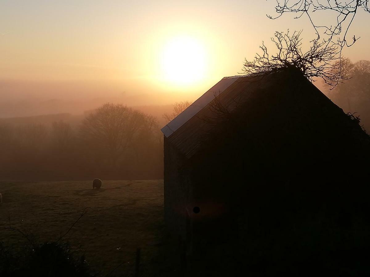 Lovaton Farmhouse Okehampton Exteriör bild
