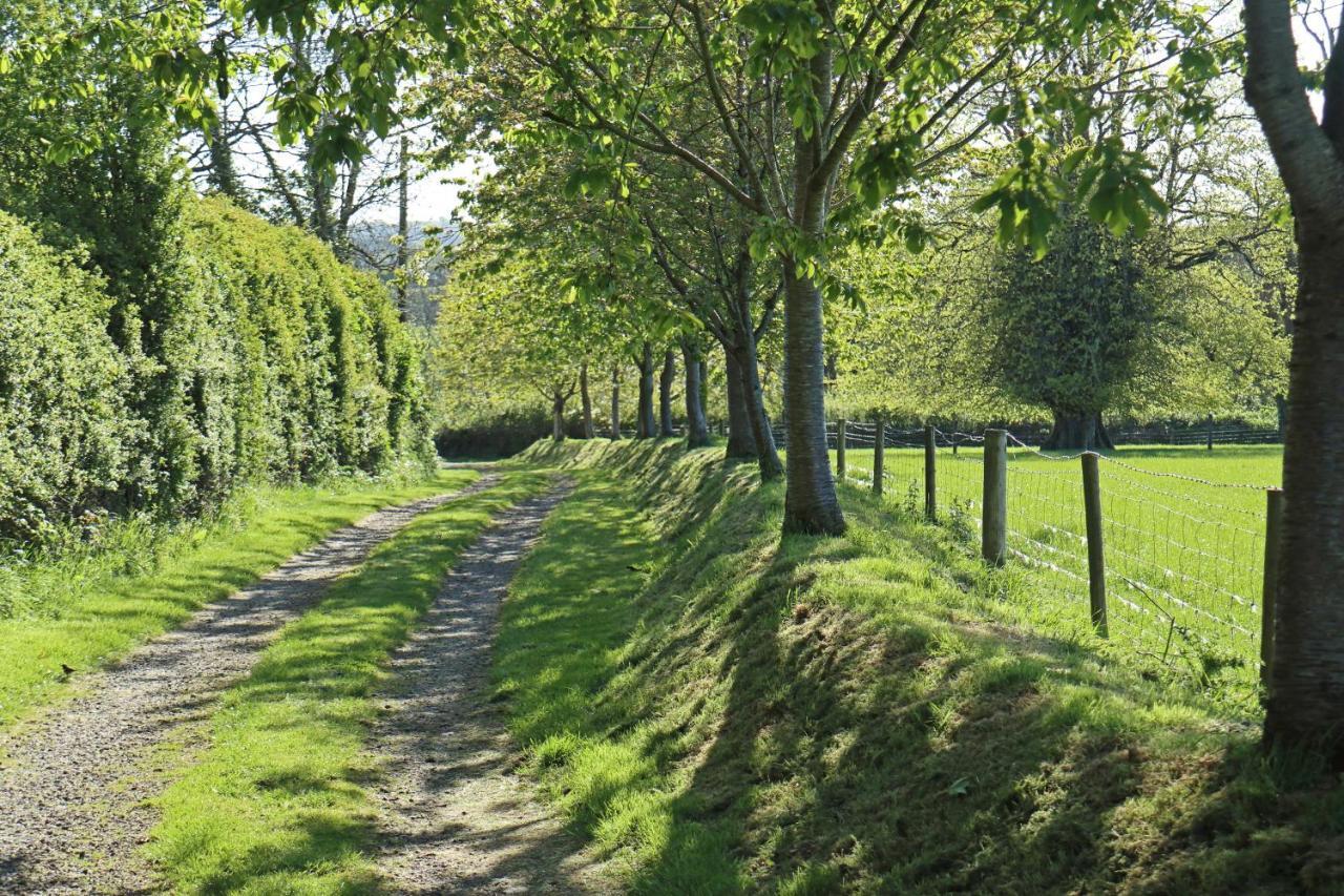 Lovaton Farmhouse Okehampton Exteriör bild